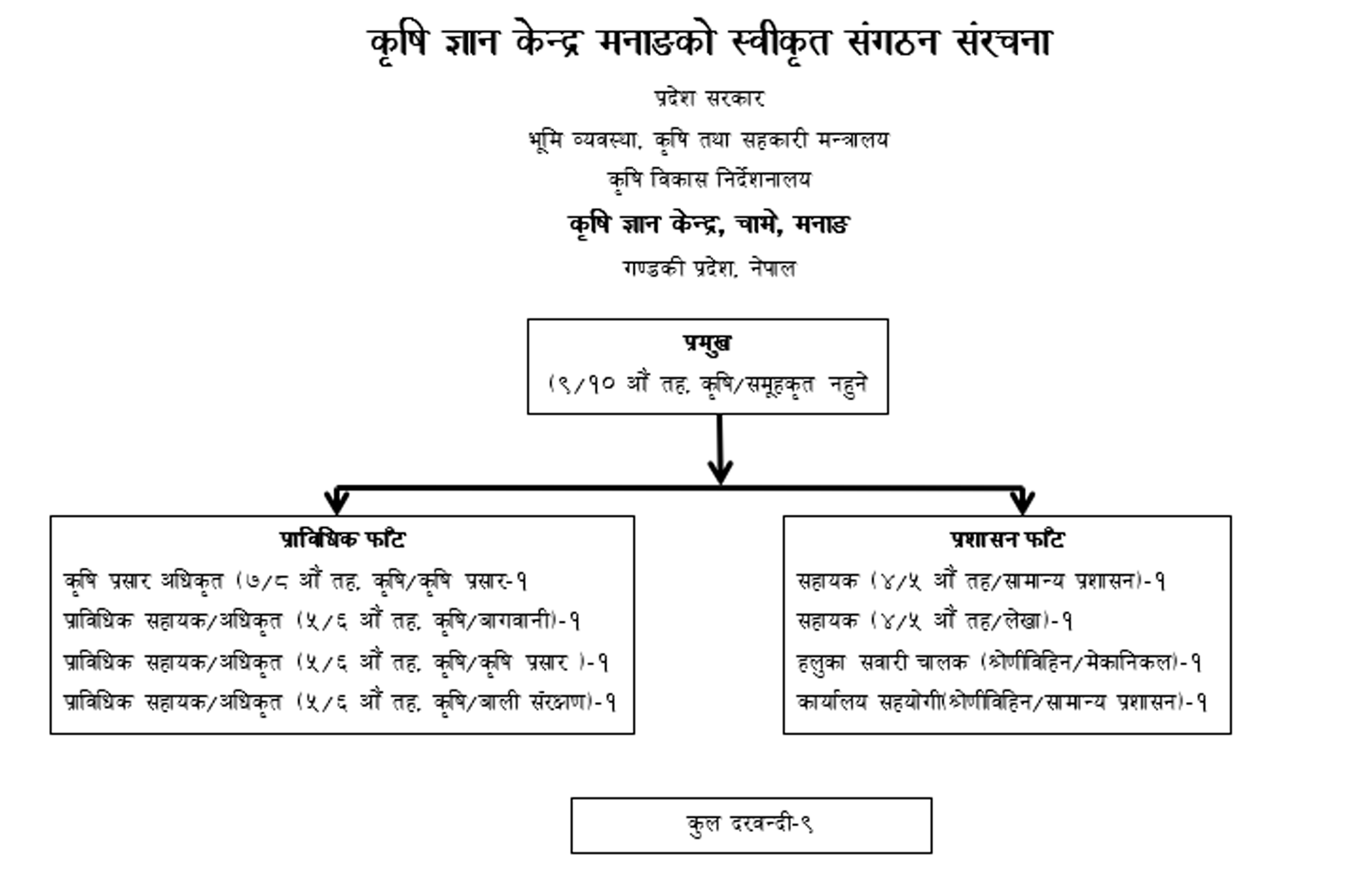 Organization Structure